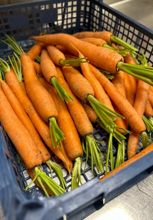 Carottes : Traiteur à Saint-Chinian, Maison Del Moral