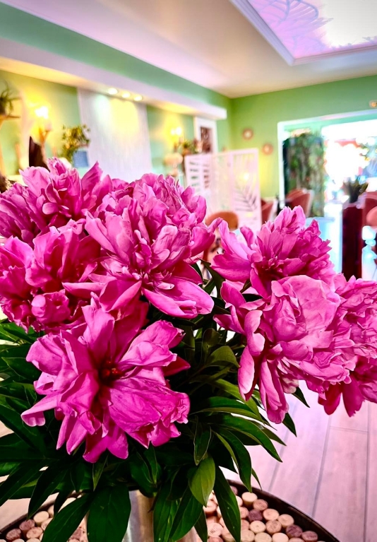 Composition florale au restaurant à Saint-Chinian, Maison Del Moral